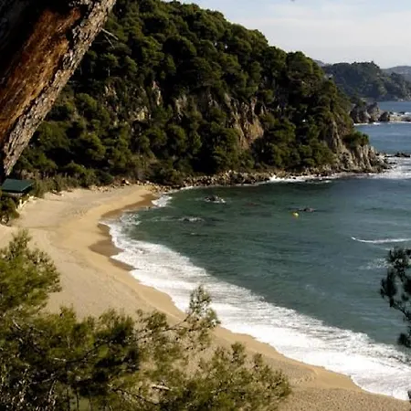 Lloret Sun Apartment *