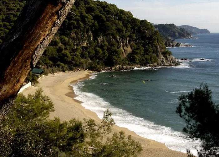 Lloret Sun 酒店 2*